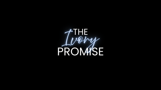 The Ivory Promise | Monthly Maintenance Cleanup and Review Package